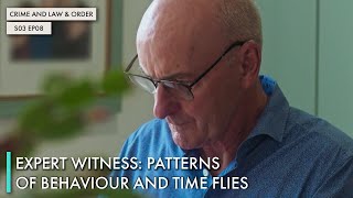 Expert Witness: Patterns of Behaviour and Time Flies