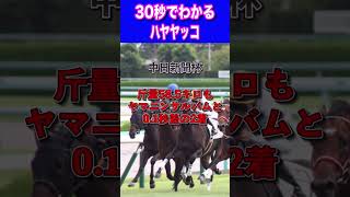 【金鯱賞2024】30秒でわかるハヤヤッコ