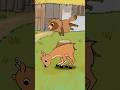 vaulting deer challenge #animation #cartoon #tomandjerry