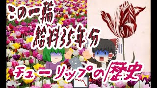 【ゆっくり植物史解説】オランダのトラウマ！？チューリップの歴史