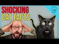 7 Shocking Cat Facts!