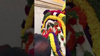 Guleharavi Sri Ranganatha Swamy fair | ಶ್ರೀ ಲಕ್ಷ್ಮೀ ರಂಗನಾಥ ಸ್ವಾಮಿ ಜಾತ್ರೆ ಉತ್ಸವ  #trending #kannada