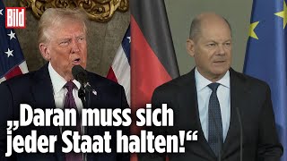 Grönland-Provokation: Hier legt sich Scholz mit Trump an