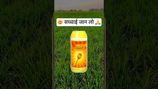 🌾किसानों का दोस्त या दुश्मन 😱 Basf Lihocin PGR 💯 #shorts