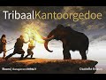 Danielle Braun - Tribaal Kantoorgedoe