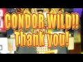 よみがえる dxキューブコンドル　コンドルワイルド condor wild.