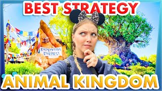 This is The BEST Strategy to do EVERYTHING in Disney World — Animal Kingdom