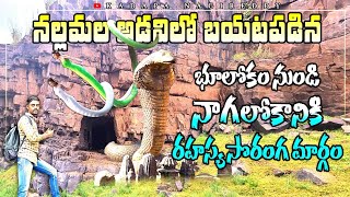 భూలోకంనుండి నాగలోకానికి రహస్య సొరంగ మార్గం|History Of Naga Lokam|Indian caves|పాముల పాకుంటూ వెళ్ళాము