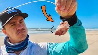 Usando POSTAS DE PAPA-TERRA DE ISCA para PESCAR PEIXE GRANDE na PRAIA