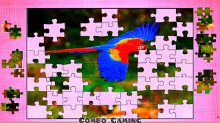 puzzle #1273 gameplay || hd birds parrot colorful birds jigsaw puzzle || @combogaming335