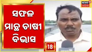 Odisha News I Nabarangpur I ନବରଙ୍ଗପୁରର ସଫଳ ମାଛ ଚାଷୀ ବିଭାସ ବଛର I News18 Odia