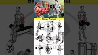 best biceps workout at gym | bigger biceps | biceps exercise | best bicep workout | dumbbell workout