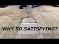 Why is Carpet Cleaning So Satisfying? #oddlysatisfying #carpetcleaning #asmr