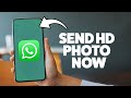 How To Send An HD Picture On WhatsApp 2025 (iPhone & Android)