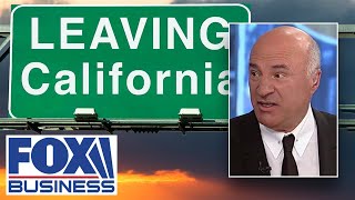 California is now a ‘basket case, war zone’ under Newsom: Kevin O’Leary