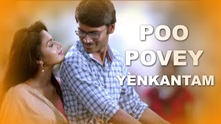 Po Pove Yekantham Video Song | Raghuvaran B tech Movie | Dhanush, Amala Paul || Volga Musicbox
