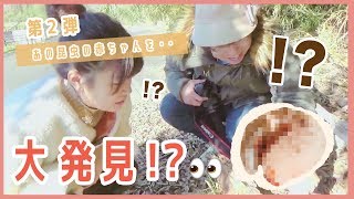 第74回 岩名古墳周辺を散策②～あの昆虫の赤ちゃんを大発見！？～【千葉県野田市】