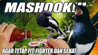 KACER AGAR FIT, FIGHTER, SEHAT?? INI JAWABANNYA | MBAGONG CHANNEL | DR KACER