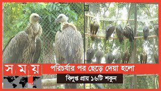 দিনাজপুরে দেশের একমাত্র শকুন উদ্ধার ও পরিচর্যা কেন্দ্র | Dinajpur News | Vulture | Somoy TV