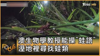 澳生物學教授能操「蛙語」 溼地裡尋找蛙類｜方念華｜FOCUS全球新聞 20210624