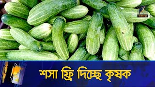 খরচই উঠে না, শ্রমিকদেরকে ফ্রি শসা দিচ্ছেন