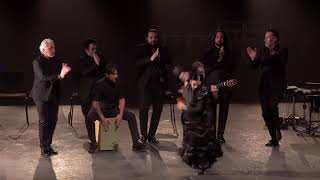 Flamenco Festival at the Adrienne Arsht Center