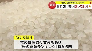 食味ランキングで最上級の「特Ａ」を６回獲得　讃岐のブランド米「おいでまい」の収穫【香川】 (23/10/03 18:00)