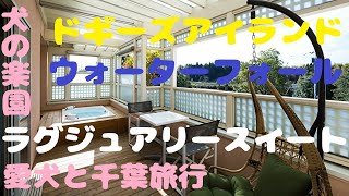 犬【千葉旅行】ドギーズアイランドウォーターフォール スイートルーム【旅犬うに#13】2022