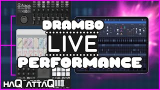 Drambo Groovebox Live Performance | haQ box mk VII | haQ attaQ