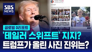 테일러 스위프트 '트럼프 지지?' \