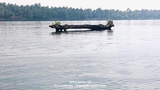 @600 year old tree Must-Watch YouTube Video for Sunshine Lovers #beach #keralabeach #new #dolfinfish