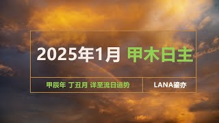 2025年1月 甲木日主 甲辰年丁丑月运势 新年新开篇