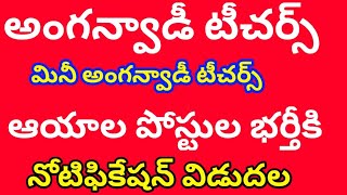 అంగన్వాడీ టీచర్స్//anganwadi teachers job notification in telangana