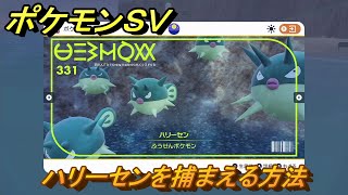 ポケモンＳＶ　ハリーセンを捕まえる方法！出現場所は？図鑑No.３３１　ポケモン図鑑を埋めよう！　【スカーレット・バイオレット】