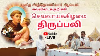 🔴நேரடி ஒளிபரப்பு 18:02:2025 செவ்வாய்க்கிழமை திருப்பலி புனித அந்தோனியார் திருத்தலம் கல்லிடைக்குறிச்சி