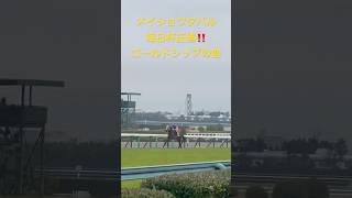 【競馬現地映像】メイショウタバル毎日杯逃げ切り圧勝‼️ゴールドシップの血‼️日経新春杯でも魅せるか逃げ切り❗️