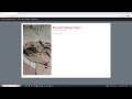 Web Design using Framework: how to create Website using Django Python Framework