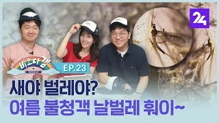 비오다갬, 새야 벌레야? 여름 불청객 날벌레 훠이~ ep.23 / SBS / 모바일24