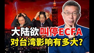 【苑举正】大陆欲叫停ECFA！台大教授苑举正：未来台湾将面临不可承受之痛