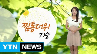 [날씨] 찜통더위 계속...내륙 곳곳 소나기 / YTN (Yes! Top News)