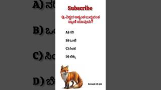 ವಿಶ್ವದ ಅತ್ಯಂತ ಬುದ್ಧಿವಂತ ಪ್ರಾಣಿ ಯಾವುದು? Answer comment ಮಾಡಿ interesting GK question #gk #gkkannadiga