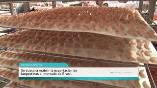 La Argentina quiere exportar más pescado a Brasil y Rusia