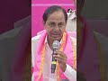 why did centre not allow pfizer to enter the indian market kcr