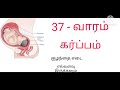 37 week pregnancy in tamil 37 week baby development during pregnancy in tamil