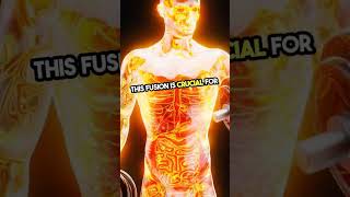 1-Inside the Human Body: From Cells to Organs