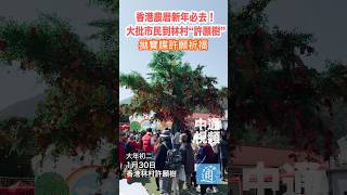 香港農曆新年必去！大批市民到林村“許願樹”許願祈福#農曆新年#香港#林村許願樹#蛇年