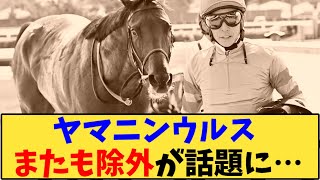 【競馬】「ヤマニンウルス またも除外が話題に…」に対する反応【反応集】