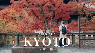 [Solo travel] Kyoto in late autumn 🍁 A luxurious time touring popular spots while avoiding crowds ⏳