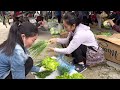 harvest coriander onions lettuce papaya and tomatoes to sell at the market