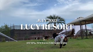 LUCY RESORT